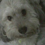 Niky